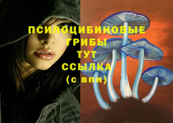 кокаин колумбия Алексеевка