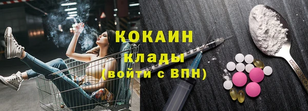 шишки Болхов