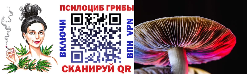 закладка  Березники  Псилоцибиновые грибы мухоморы 