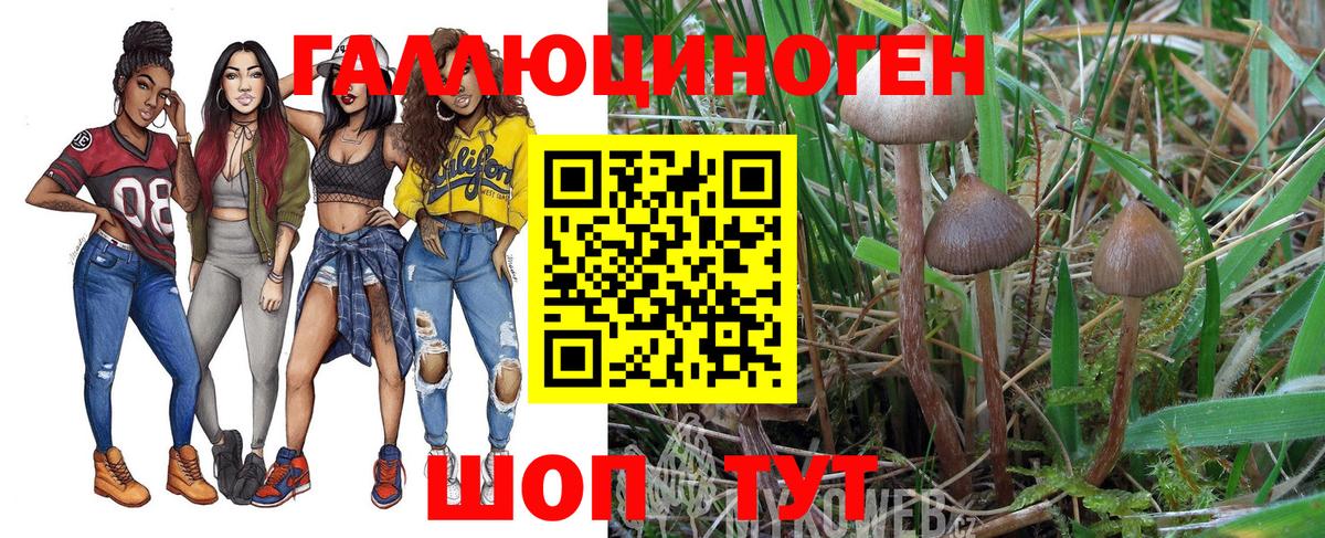 Галлюциногенные грибы мухоморы Березники