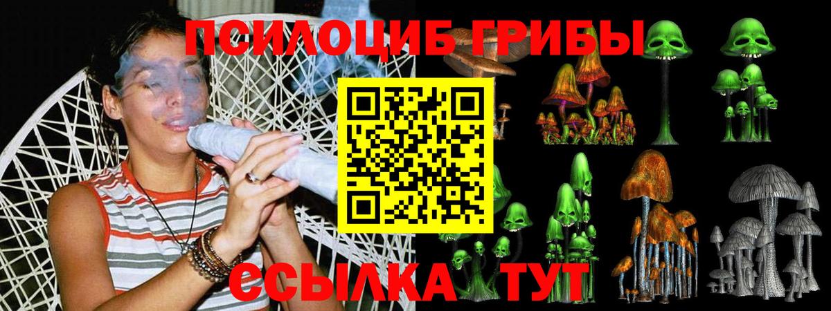 Псилоцибиновые грибы GOLDEN TEACHER Березники